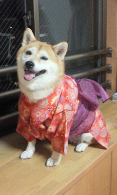 hina2.jpg